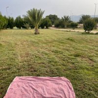امجاد آل زياد (@writer_x11) 's Twitter Profile