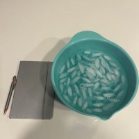 no means no shannan (@jitbeboomin_) 's Twitter Profile Photo