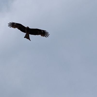 syahusheba's profile picture. 主に愚痴だったり、癖とかなんたり   共感貰えたら嬉しいです  無言フォロー失礼します