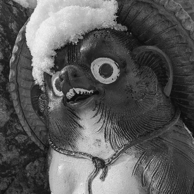 ハルさんのプロフィール画像