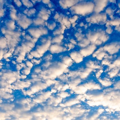 Mynt_Life's profile picture. Enjoying a healthy lifestyle. Freedom of speech here. Interested in investing and sports content.