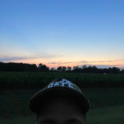 11 Profile