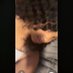 Laniya Simmons (@laniyasimmons2) Twitter profile photo Laniya Simmons (@laniyasimmons2) Twitter profile photo