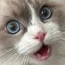 Ping Lordy (@pinglordy) Twitter profile photo Ping Lordy (@pinglordy) Twitter profile photo