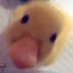 quackity (@illwaitfor3ver) Twitter profile photo quackity (@illwaitfor3ver) Twitter profile photo
