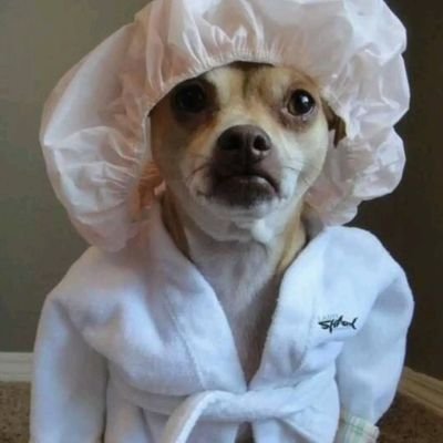 AfunwaNna52842's profile picture. Living on-chain. Betting on the future. Web3 builder, crypto degen, and collector of good vibes.” 
Text me on telegram (@AFcrypt0)

Web3 native | Chart warrior