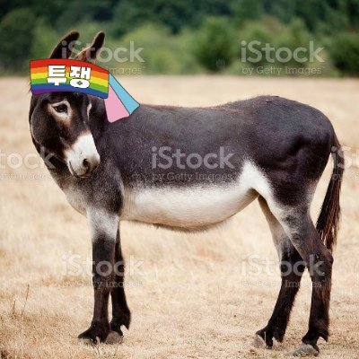 MULEさんのプロフィール画像