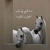 noooony (@nooony14077) 's Twitter Profile Photo