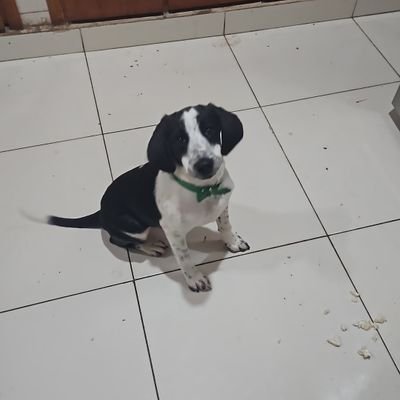 MauraOrrego's profile picture. Abogada. 
Escribana. 
Olimpista.