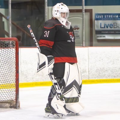Isaiah 54:17. Dad. Hockey goalie. Tanker. Chicken Herder. Co-Employee of the Year, GOOBCORP.