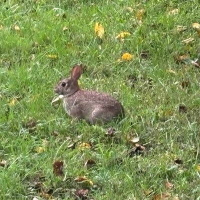 RyanTay34019960's profile picture. 