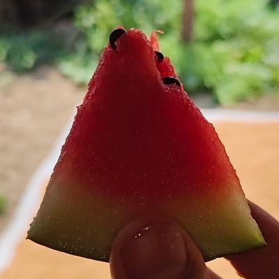 kanin_moyong's profile picture. to start the plan