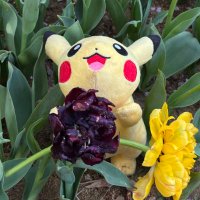 にーな@F4F (@f4f217) 's Twitter Profile