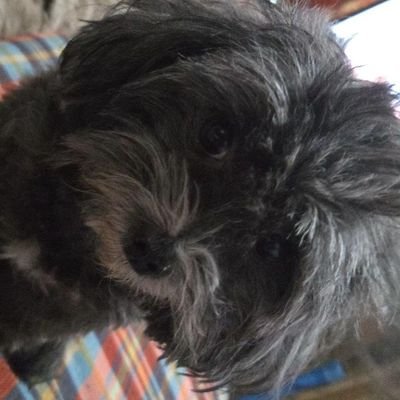 XieHuey's profile picture. Dafuq is this? Dafuq is that? Dafuq are you?

ttv/SGG_XieHuey