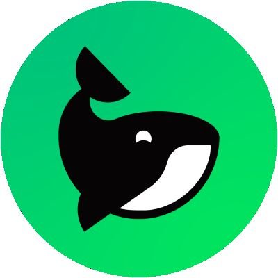 mozammelraaz's profile picture. @MorphLayer #CrunchieOG