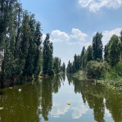 Conservación y la Restauración del Sistema Chinampero.