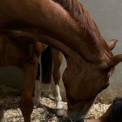 iiiu_74's profile picture. 