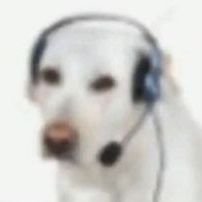 Gabart231's profile picture. Um dia serei um ótimo artista e postarei minhas artes nesse app imundo