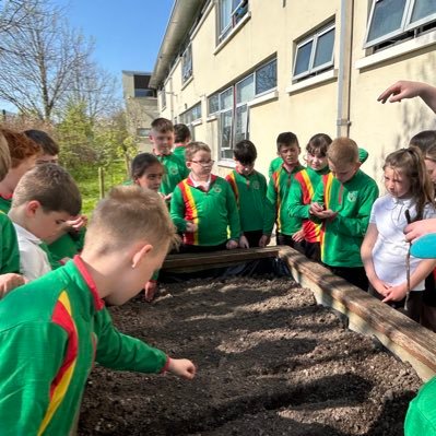 Gaelscoil Eoghain Uí Thuairisc Profile