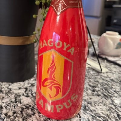 chanhiro_dayo's profile picture. 名古屋グランパスをJリーグ創設以来応援してます。 2025シーズン観戦勝敗5勝3敗