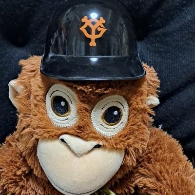 fumi_sansan's profile picture. 🇯🇵日本 京都🇮🇩チカラン2019～2023帰国 🚙HONDA🏍️YAMAHA ⚾関西G 党🐰東京ドームに行きたい⚾