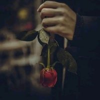 أوراق منسيه (@aalashg33230) 's Twitter Profile