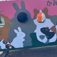 さよ (@mmkluv2) 's Twitter Profile