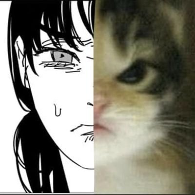 ⠀⠀⠀⠀⠀⠀⠀⠀𝘊𝘢𝘵𝘢𝘥𝘰𝘳𝘢 𝘥𝘦 𝘮𝘪𝘤𝘩𝘪𝘴⠀⠀❜ ˚˖ ⁺ ⠀⠀   solo vengo a ver tweets y amo a mi gato⠀⠀⠀⠀⠀⠀⠀⠀⠀⠀⠀⠀⠀