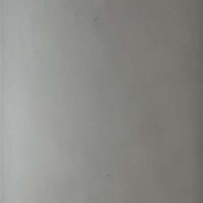 LKang82835's profile picture. 