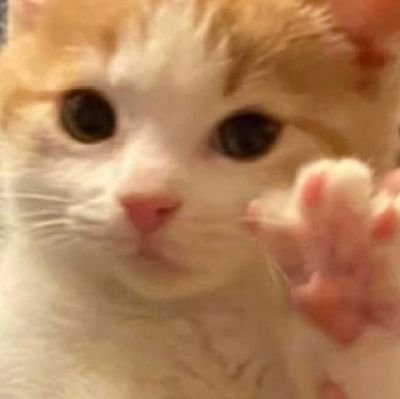 canyoulovemycat's profile picture. 21+
สมาคมนิยมเคะ