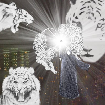Memorized's profile picture. AGI creator, web4 enjoyer