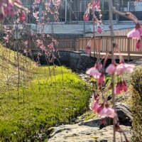 富山県立大学 茶道部 (@tpu_sadoclub) 's Twitter Profile Photo 富山県立大学 茶道部 (@tpu_sadoclub) 's Twitter Profile Photo