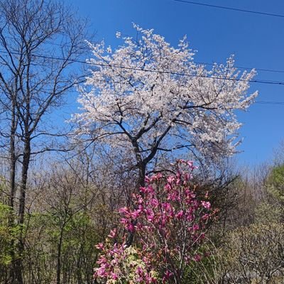 michi052693's profile picture. 