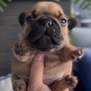 NeogEthan's profile picture. 