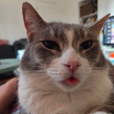 souplover1312's profile picture. evan |
he/him |
☭☭☭