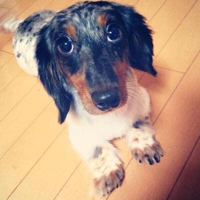 以前、かーみんでやってました! せっかくフォローしてくれたのに最初からになってしまったけど出来ればまた仲良くしてください😳 これから出会う方も気軽に仲良くしてください|˙꒳˙) 後、好きな事はお酒🥃飲みながらアニメや漫画を観ることです👀好きな事を共有しながら仲良くなれたらと思ってますのでよろしくお願いします😌