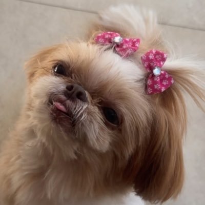 loló ♡➷さんのプロフィール画像