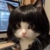 catlover (@puja4492) Twitter profile photo catlover (@puja4492) Twitter profile photo