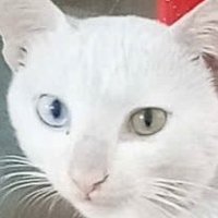 rxtozz๐ (@rburryto_2) 's Twitter Profile Photo rxtozz๐ (@rburryto_2) 's Twitter Profile Photo