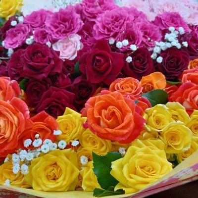🤩家庭菜園、ハーブ、花、多肉植物作りに挑戦中🌱お菓子作り大好き💕🍰
🐤
DMはやってないです🙇