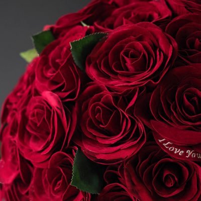 730kRm325's profile picture. |すの▶︎宮舘涼太🌹❤️|トニ▶︎長野博🍴💜|声優▶︎木村良平🎙🩵(❤️)|のヲタ長野博から始まって木村良平をへて気づけば宮舘涼太にどハマり中🌹のアラフォー