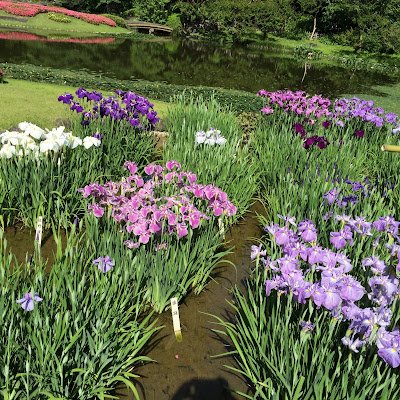 fhO398rMk276129's profile picture. 