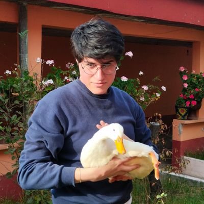 derpoyaiser's profile picture. Aquel derruido edificio lámparas mata y aceite chupa.