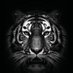 Malee Limat (@maleelimat) Twitter profile photo Malee Limat (@maleelimat) Twitter profile photo