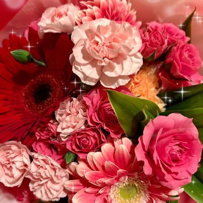 kyabasere_rei's profile picture. 