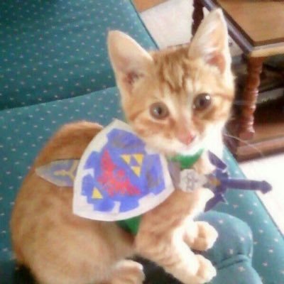 prbation's profile picture. 