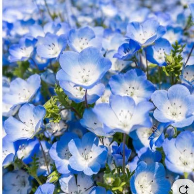 mamano9396's profile picture. 70代のヘルパー。お茶して会話大好き💕好奇心あり Kポップで若返り中。 Ｘ奮闘中。