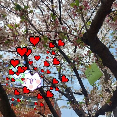 仕事は秘密㊙️。。。
趣味多彩です。
🎶。🍺。🏃~。🚴。🎣。💹。📖。🖼️。
基本的に趣味は三流以下ですが気にしてません😁👍️
エロ❌中傷DM❌通報します。
💖←いいね=フォローします❗
仲良しだけDM対応‼️
フォロ-様の投稿みて観光するのが好きです🚶。。🍜🍺🏔️🏯🎣🌲