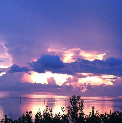 joeydunn3rd's profile picture. 