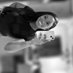 Sandra (@a_sandra_) Twitter profile photo Sandra (@a_sandra_) Twitter profile photo